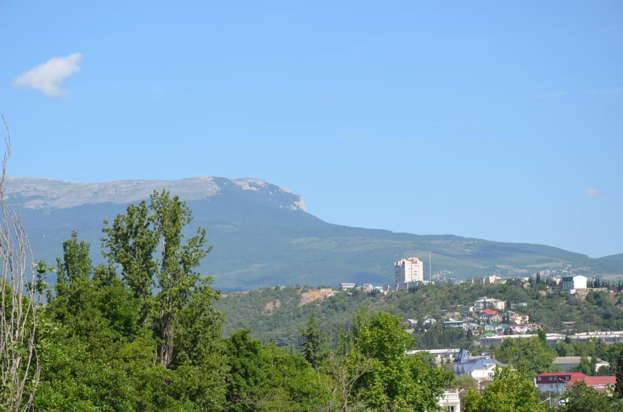 Гостиница Гостевой Дом Алвис Алушта-44