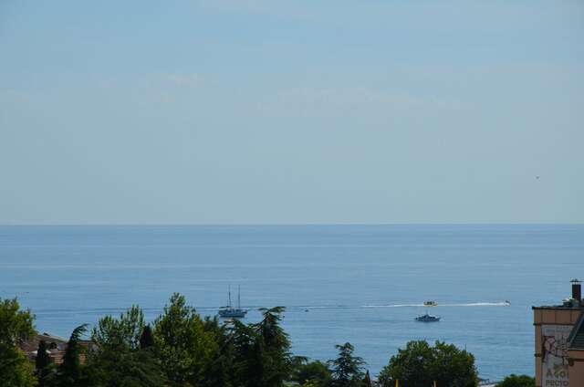 Гостиница Алвис Алушта-136