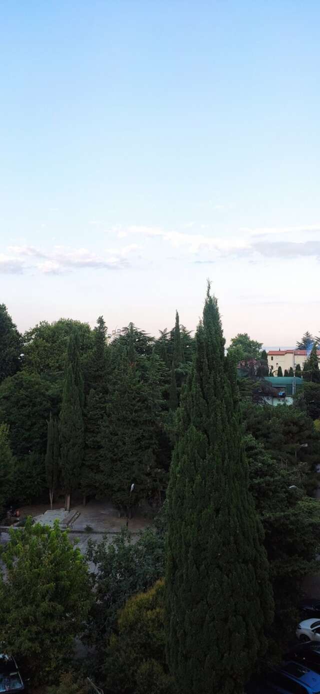 Гостиница Алвис Алушта-181